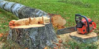 Best Firewood Processing and Delivery  in Maple Heights Lake Desire, WA